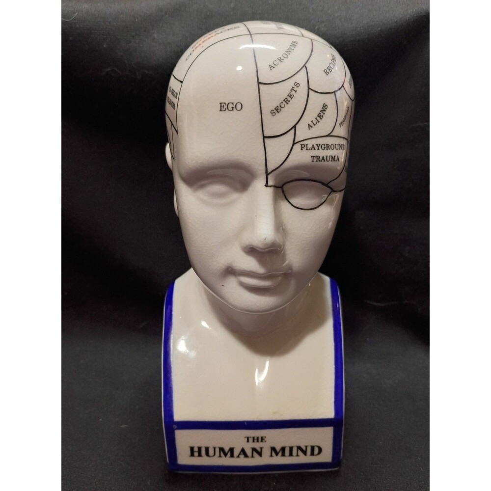 1999 Accoutrements The Human Mind Phrenology Bust Ceramic Y2K Oddity Decor